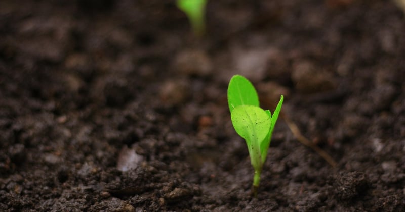 Développer sa startup : 7 stratégies de croissance qui changent tout