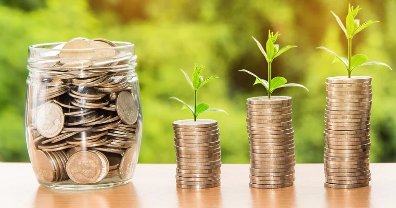 Pourquoi la stratégie de croissance décide de la survie de votre startup